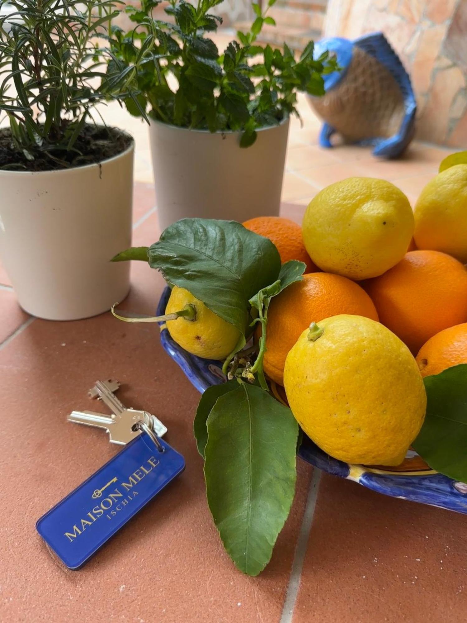 Maison Mele Ischia Ngoại thất bức ảnh
